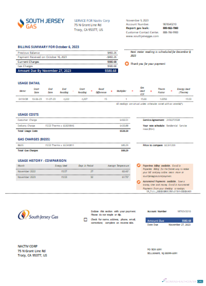 Download New Jersey Gas utility business bill, SCR Photoshop template